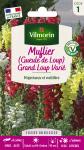 Fleurs - Muflier (Gueule de Loup) Grand Loup Varié - PACKAGING_RECTO